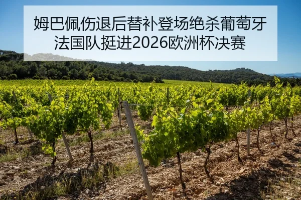 mu-ba-pei-shang-tui-hou-ti-bu-deng-chang-jue-sha-pu-tao-ya-fa-guo-dui-ting-jin-ou-zhou-bei-jue-sai-2-862.jpg